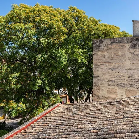 Apartment Casa Mnuela - Centro Jerez - Parking Opcional *