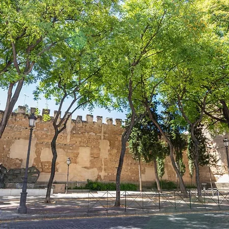 Casa Mnuela - Centro Jerez - Parking Opcional דירה *