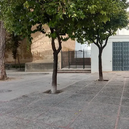 Casa Mnuela - Centro Jerez - Parking Opcional דירה חרז