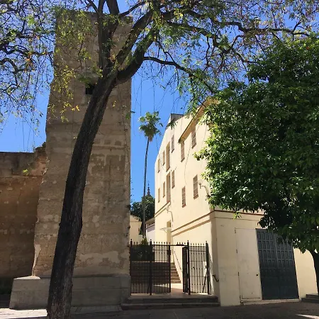 Casa Mnuela - Centro Jerez - Parking Opcional דירה חרז