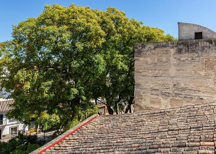 Apartment Casa Mnuela - Centro Jerez - Parking Opcional *